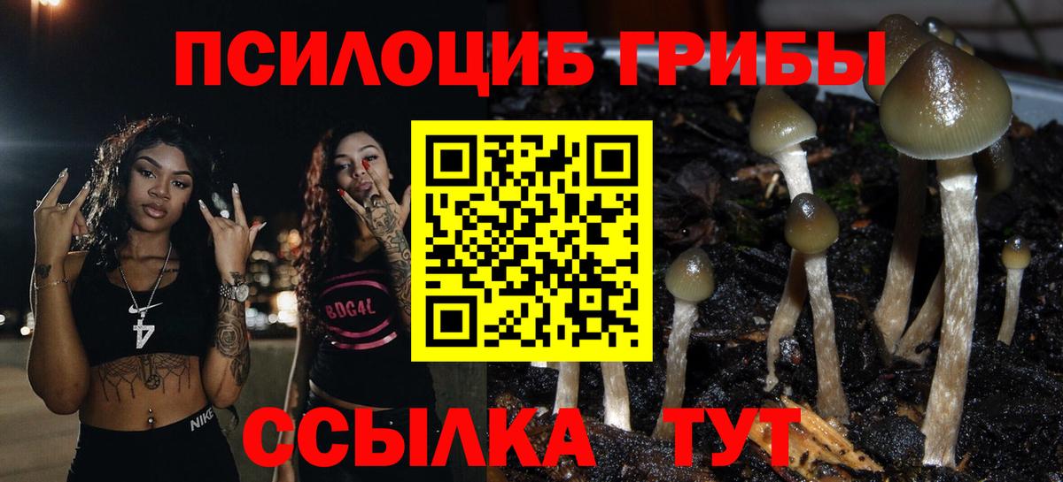 Псилоцибиновые грибы Psilocybe  Вход с VPN  даркнет сайт  Биробиджан 
